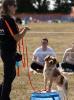 Country Dog Show 2025
